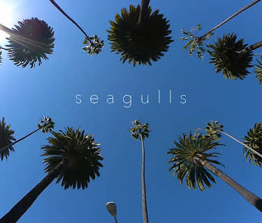 Seagulls