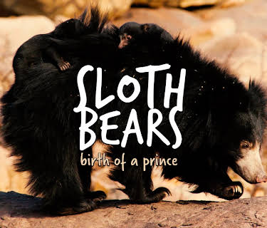Sloth Bears: Birth of a Prince (2020)