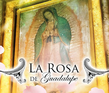 La Rosa de Guadalupe season-2024