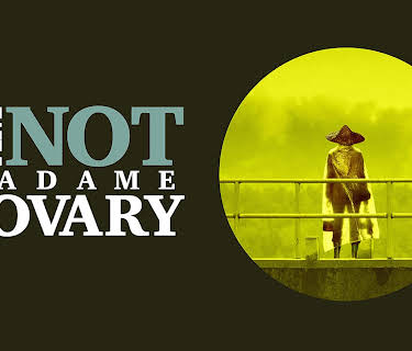 I Am Not Madame Bovary (2016)