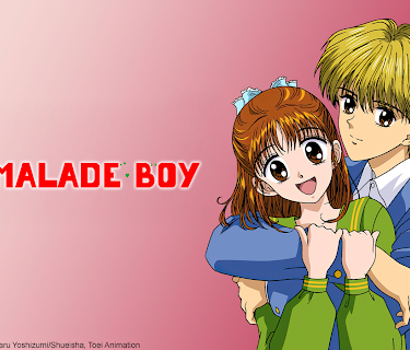 Marmalade Boy: Season 1