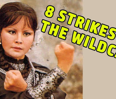 8 Strikes Of The Wildcat (2004)