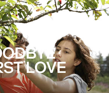 Goodbye First Love (2011)