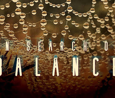 In Search of Balance (2016)