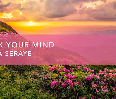 Relax Your Mind (2024)