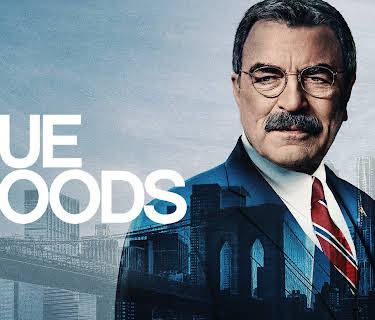 Blue Bloods, S1