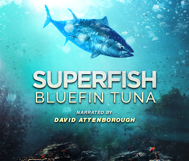 Superfish: Bluefin Tuna - Narrated by David Attenborough (2012)