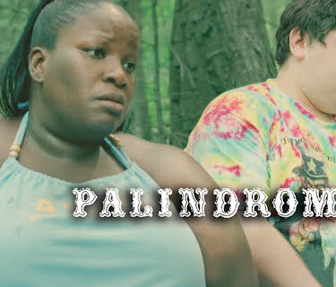 Palindromes (2025)
