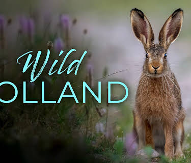 Wild Holland
