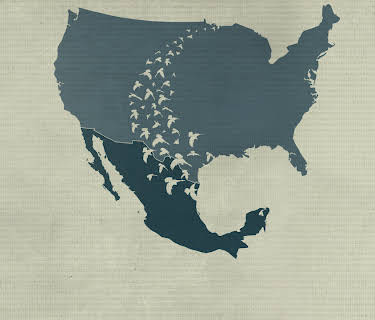 Birders: Fuglekikkerne (2019)