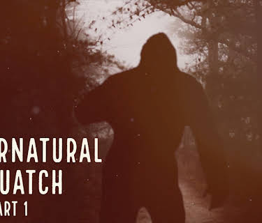 The Supernatural Sasquatch: Part 1 (2019)