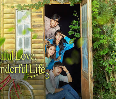 Beautiful Love, Wonderful Life