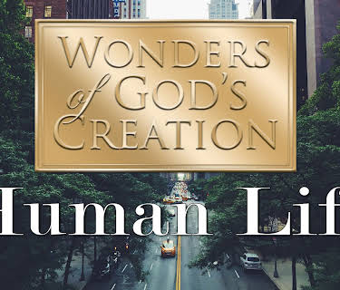 Wonders of God's Creations: Human Life