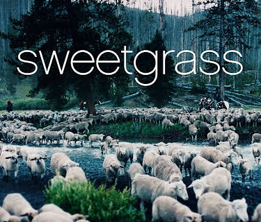Sweetgrass (2009)
