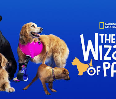 The Wizard of Paws