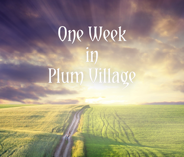 One Week in Plum Village with Thich Nhat Hanh (2015)
