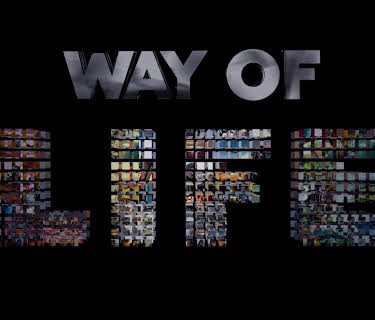Way of Life - Teton Gravity Research (2013)