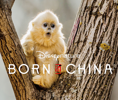 Disneynature: Born in China (With Bonus Content) (2017)