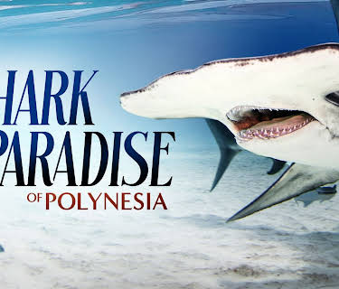 The Sharks of Polynesia (2011)