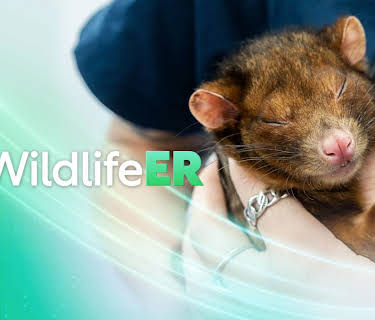 Wildlife ER