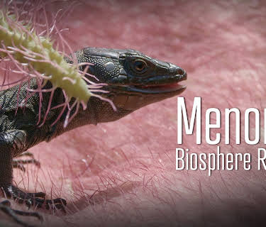 Menorca: Biosphere Reserve (2019)