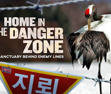 Home in the Danger Zone (2010)
