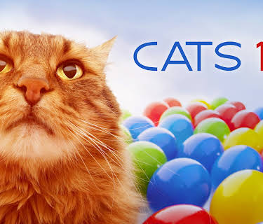 Cats 101 Season 1