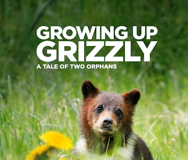 Growing Up Grizzly (2022)