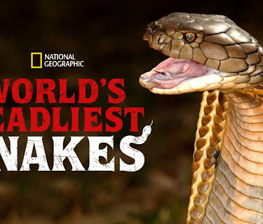 World's Deadliest Snakes
