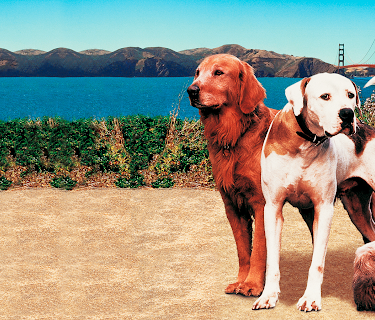 Den utrolige reisen 2 (1996)