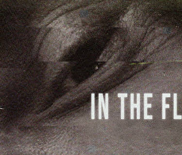 In the Flesh (2024)