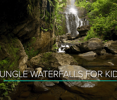 Jungle Waterfalls for Kids