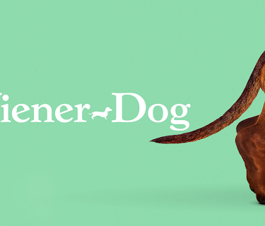 Wiener-Dog (2016)