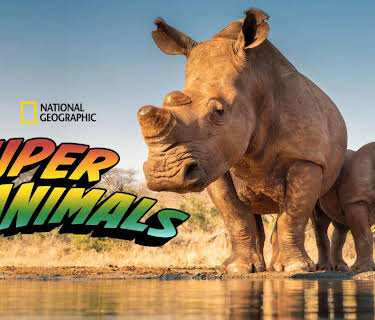 Super Animals