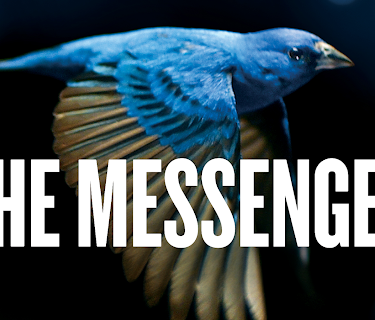 The Messenger [English] (2015)