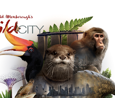 David Attenborough's Wild City