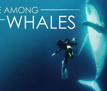A Life Among Whales (2005)