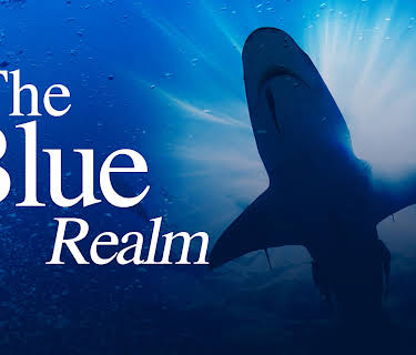 The Blue Realm Season 1