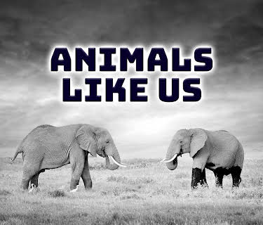 Animals Like Us
