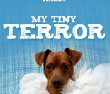 My Tiny Terror