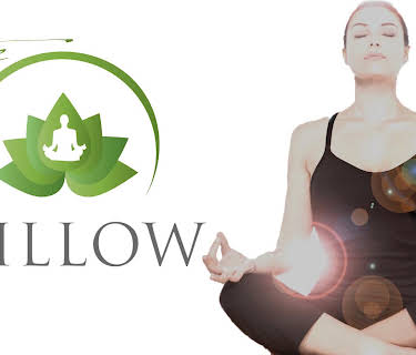 The Willow