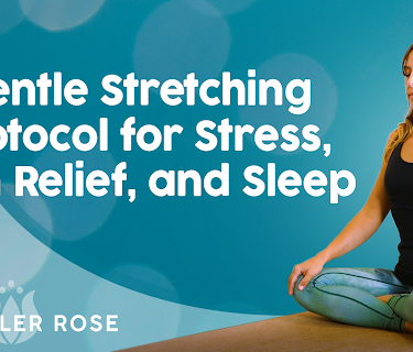 Gentle Stretching Protocol for Stress, Pain Relief, and Sleep with Chandler Rose
