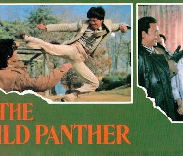 The Wild Panther (1984)