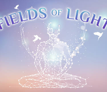Fields of Light (2017)