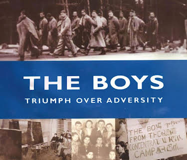 The Boys: Triumph Over Adversity (2000)
