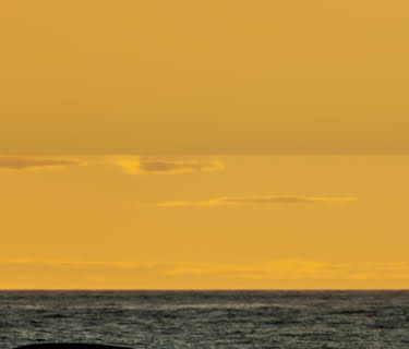 Sea Change: The Gulf of Maine, A NOVA Special Presentation
