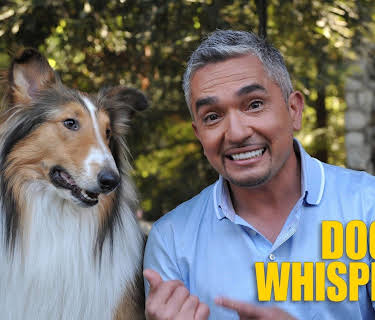 Dog Whisperer