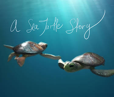 A Sea Turtle Story