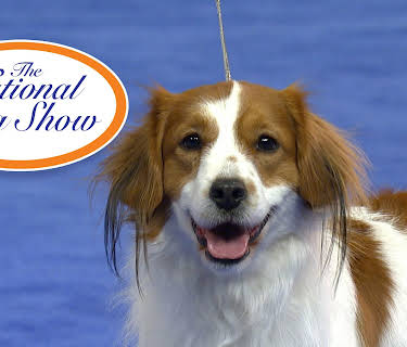 The National Dog Show (2018) (2026)