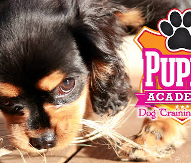 Puppy Academy: Dog Training Guide